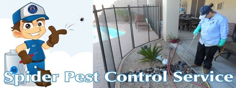 Best Wolf Spider Arizona Pest Control Service