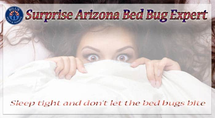 Bed Bug Control Surprise AZ | Bed Bug Exterminators Surprise
