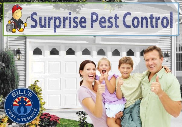 Professional Pest Control Surprise, AZ
