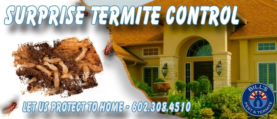 Best Termite Control Surprise AZ