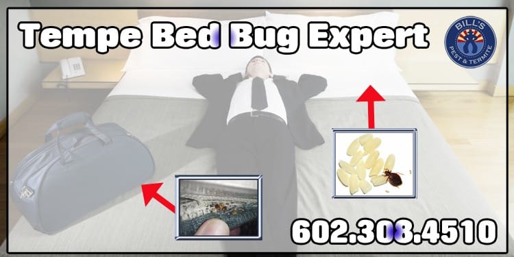 Best Bed Bug Control Tempe AZ - Bed Bug Fumigation Tempe AZ Services