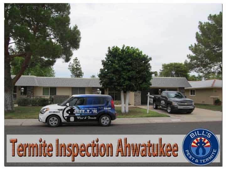 Termite Inspection Ahwatukee Az | Comprehensive Pest Control Services