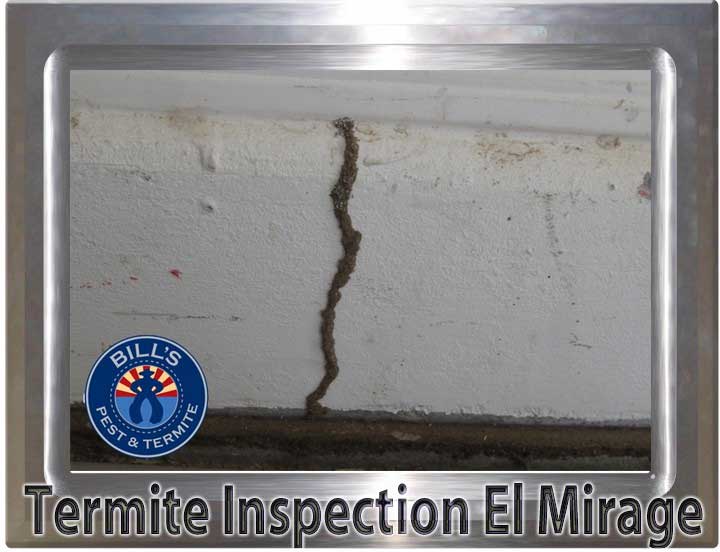 Termite Inspection El Mirage Az | Bills Pest Termite Control