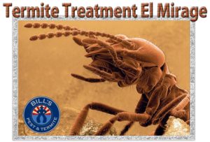 Termite Treatment El Mirage
