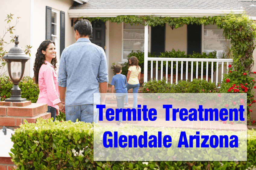 Termite Treatment Glendale Az