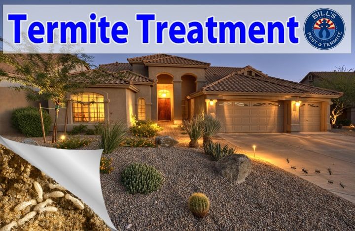 Best Termite Treatment Phoenix Az - Bills Termite Control