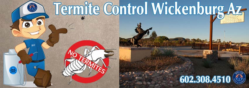 Termite Control Wickenburg Az | Termite Treatment Exterminator