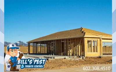 The Importance of New Construction Termite Treatment Services in Arizona