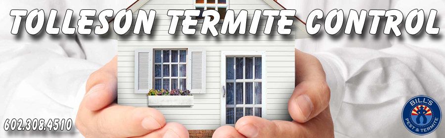 Termite Control Tolleson AZ Best Termite Treatment Tolleson Az Services
