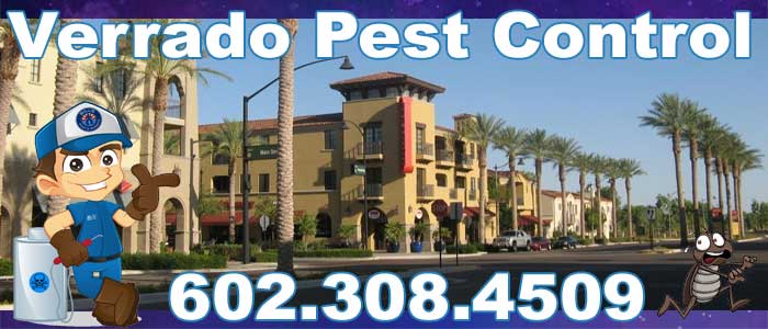 Best Verrado Pest Control Service
