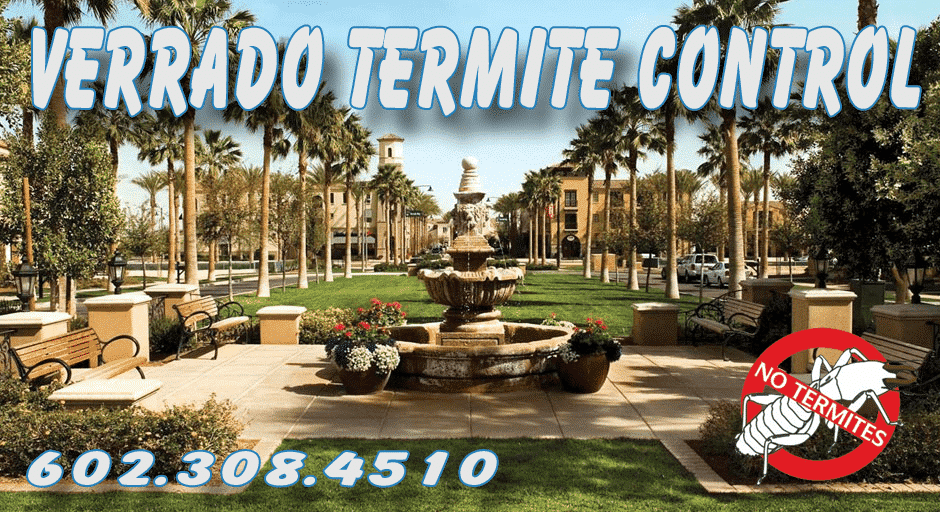 Free Verrado Termite Inspection Services - 602.308.4510