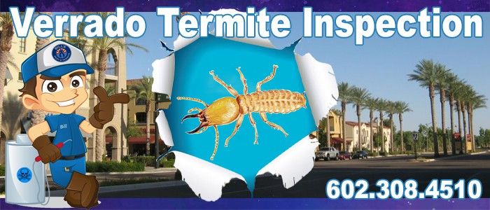 Best Verrado Termite Inspection - Bills Pest Termite Control
