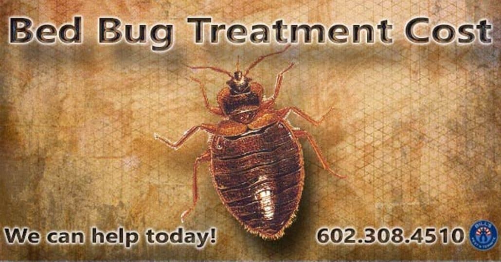 Bed Bug Treatment Phoenix, AZ
