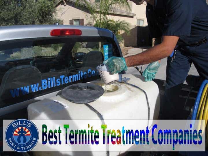 Best Termite Companies Phoenix Az