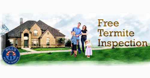 Got Termites? Get a Free Termite Inspection 602.308.4510