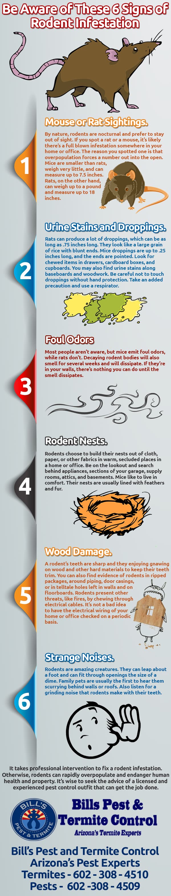 infographic-134 Be Aware of these 6 Signs of Rodent Infestation