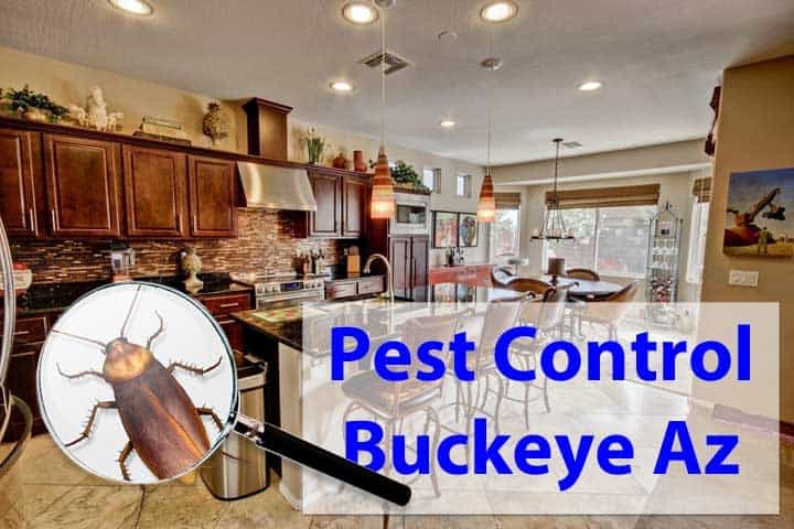 Best Buckeye Pest Control Services