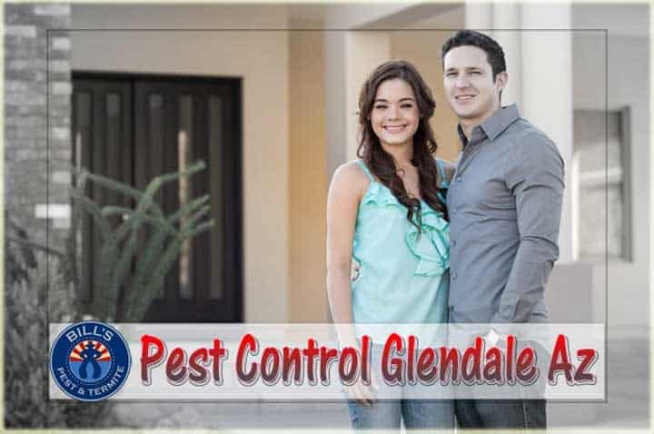 Affordable Pest Control Services - Tick Pest Control Glendale AZ