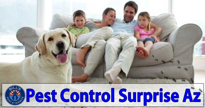 Best Pest and Termite Control Surprise, AZ