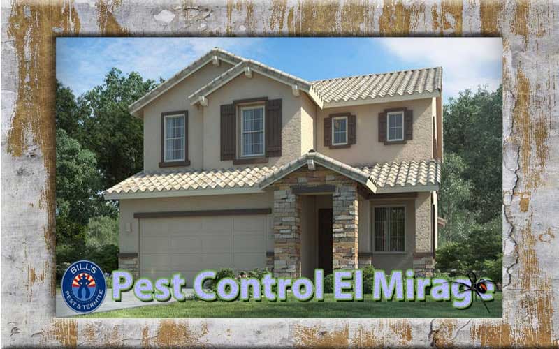 Best El Mirage Pest Control Services