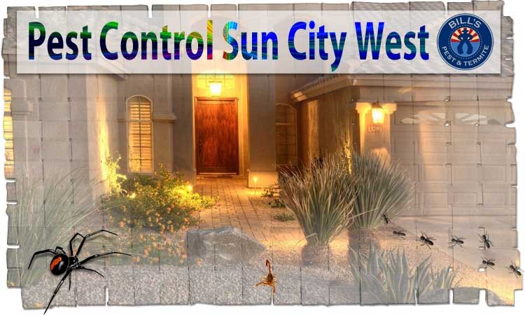 Affordable Pest Control Sun City West AZ - Best Bed Bug Exterminators Sun City AZ