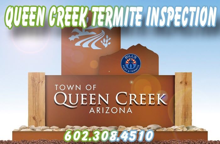 Best Queen Creek Termite Inspection Service
