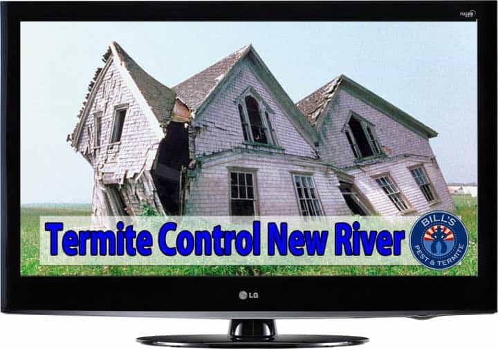 Termite Control New River AZ