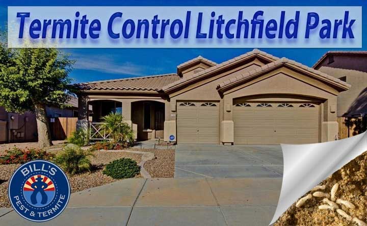 Expert Termite Control Litchfield Park, AZ