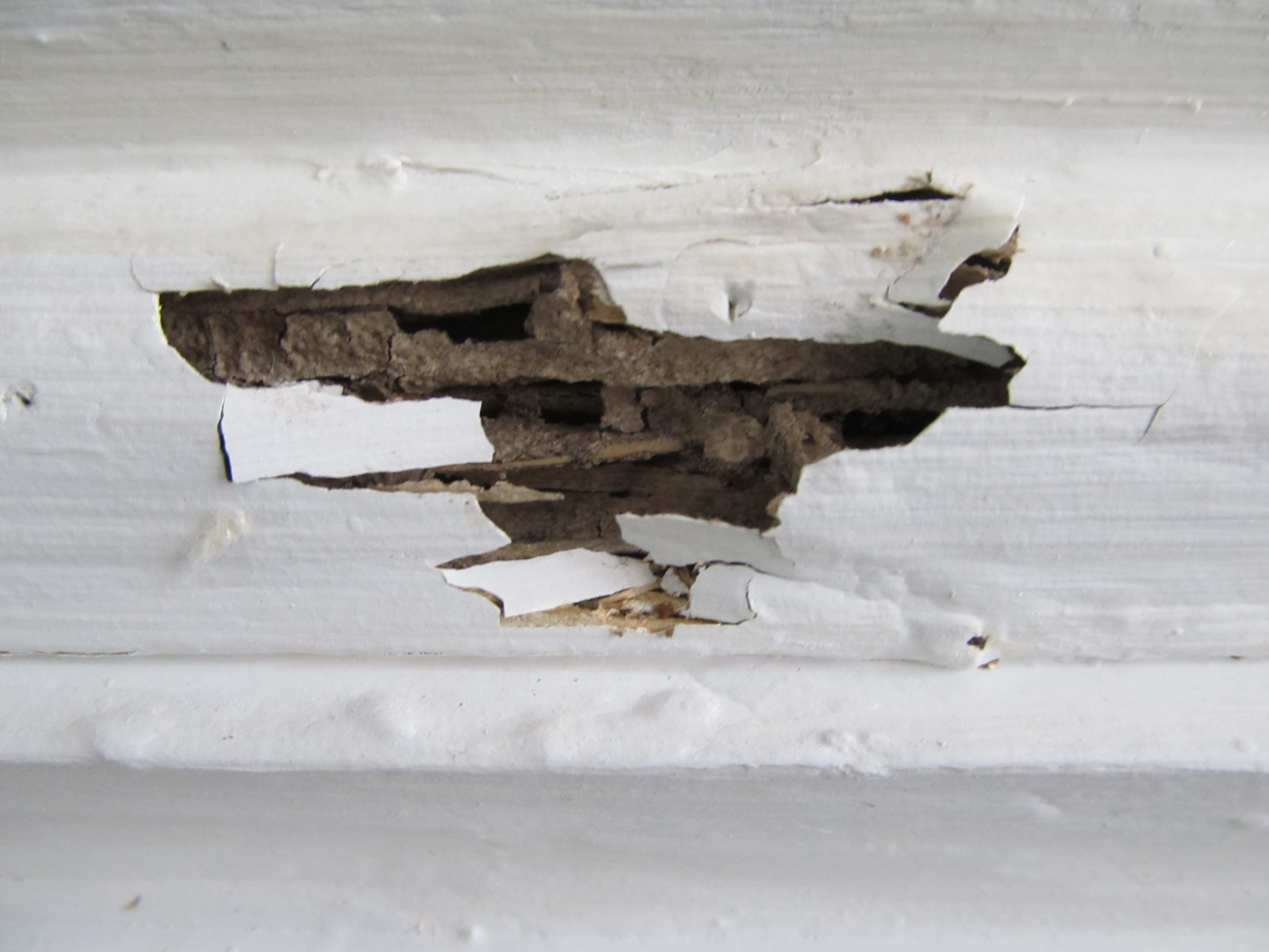 signs of termites - termite damage to baseboard