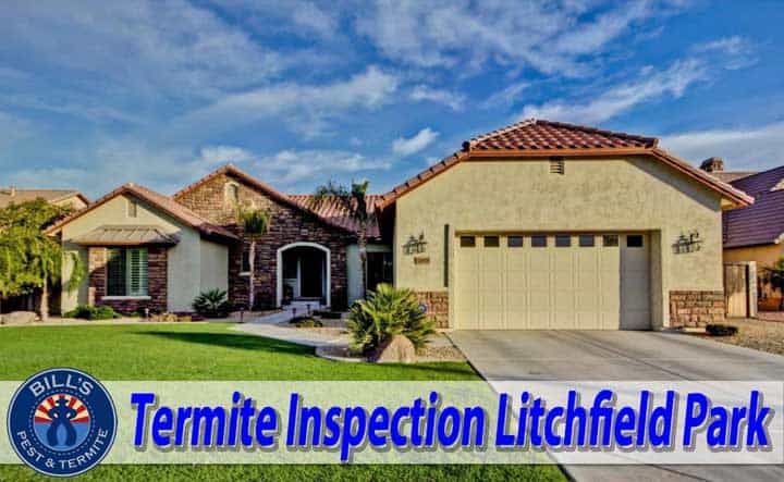 Termite Inspection Litchfield Park AZ