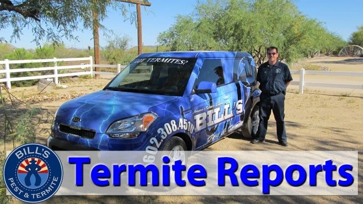 Termite Reports in Arizona: How Bills Pest Termite Control Can Help